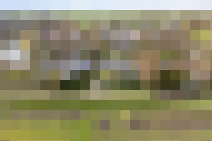 Leppedyk 1005 Grou thumbnail 58