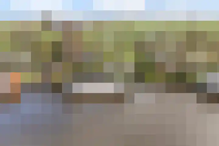 Leppedyk 1005 Grou thumbnail 59