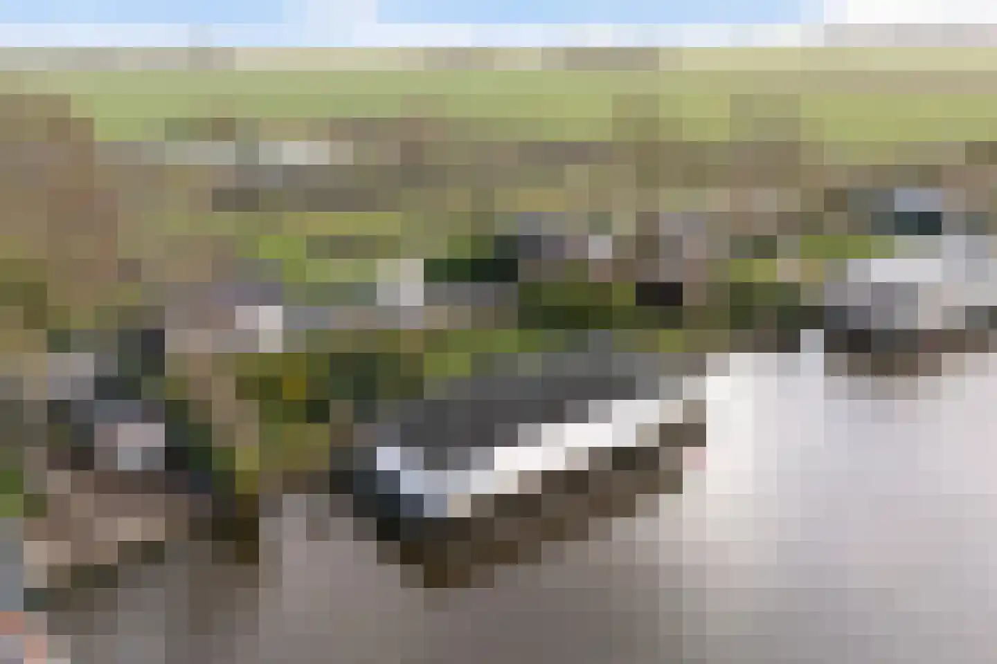 Leppedyk 1005 Grou thumbnail 60