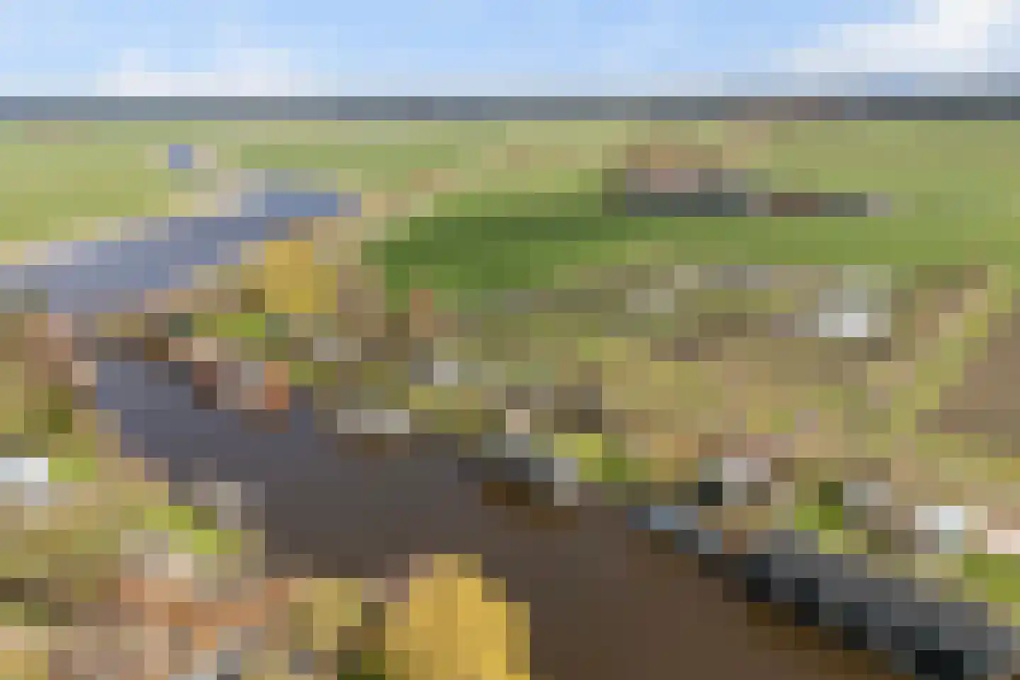 Leppedyk 1005 Grou thumbnail 61