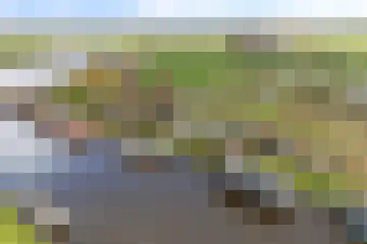 Leppedyk 1005 Grou thumbnail 62
