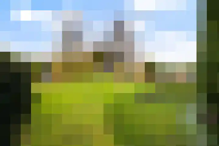 Leppedyk 1005 Grou thumbnail 8
