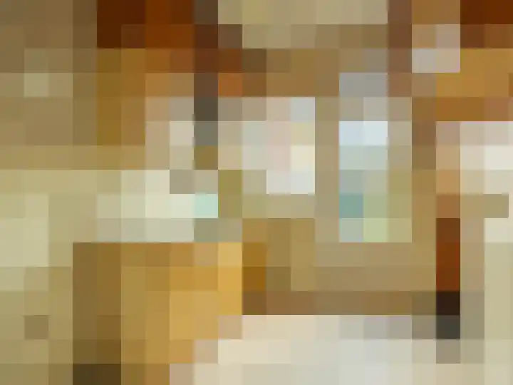 Lerinckstraat 33 Zutphen thumbnail 8