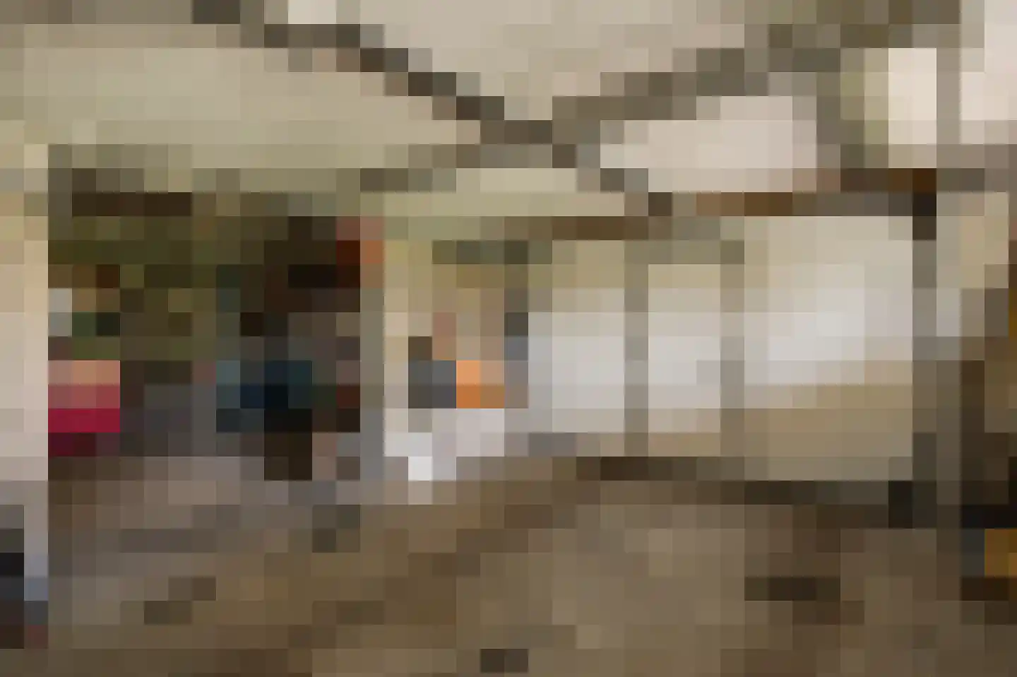 Leropperweg 30 Sint Odiliënberg thumbnail 32