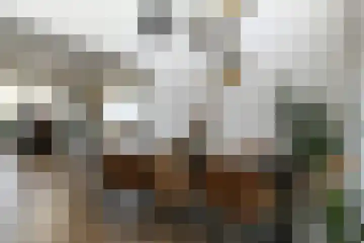 Lerschenstraat 15 Simpelveld thumbnail 11