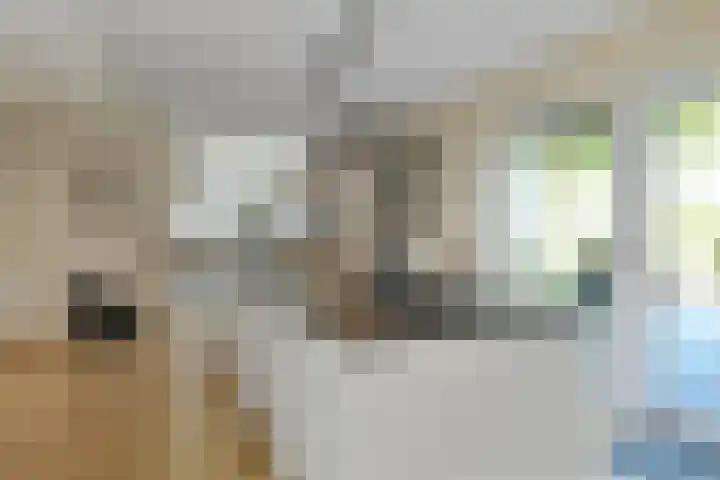 Lerschenstraat 15 Simpelveld thumbnail 14