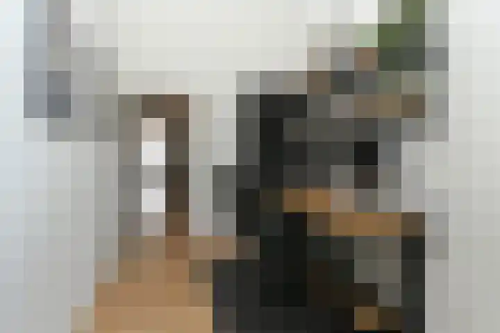 Lerschenstraat 15 Simpelveld thumbnail 18