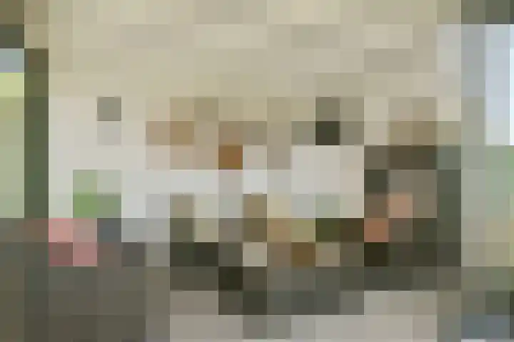 Lerschenstraat 15 Simpelveld thumbnail 34