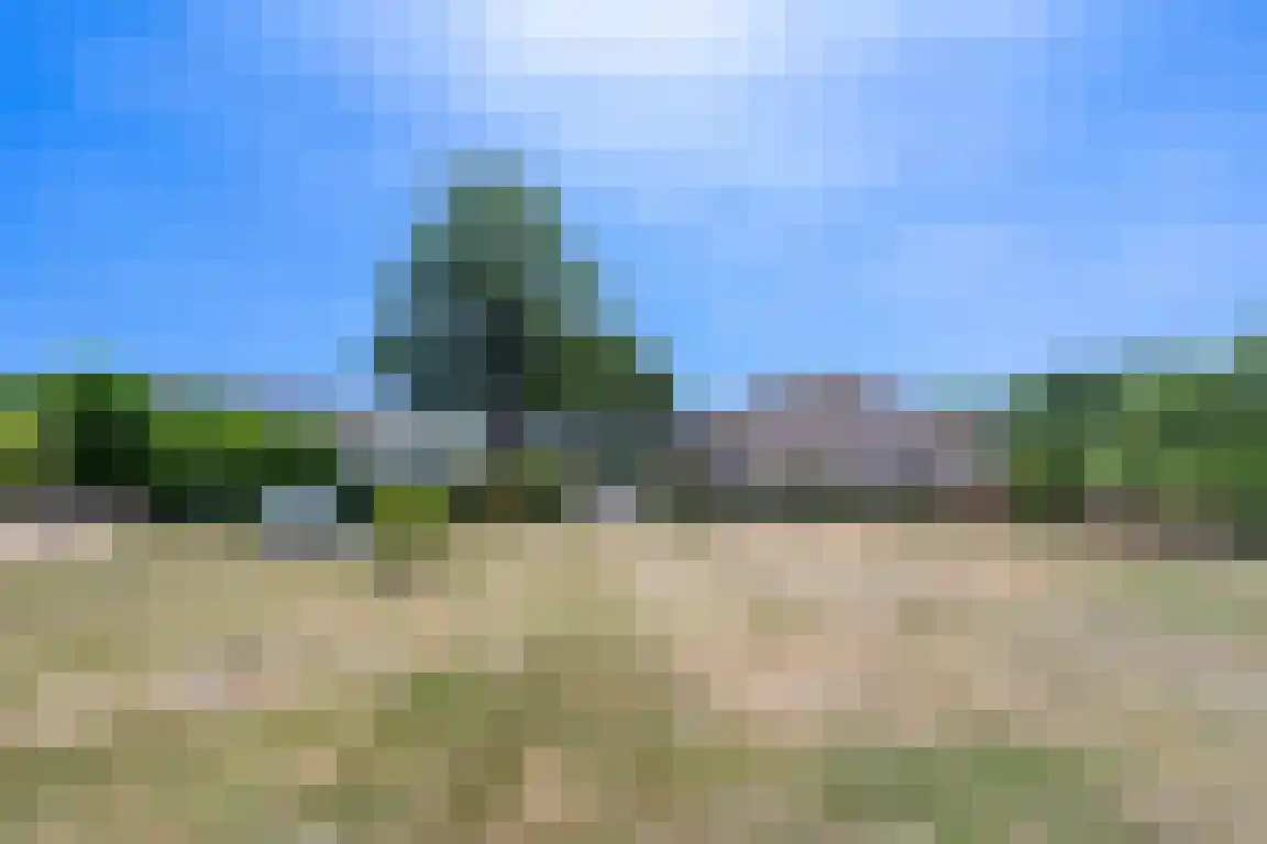 Les Dunes 12 Noordwijk thumbnail 8