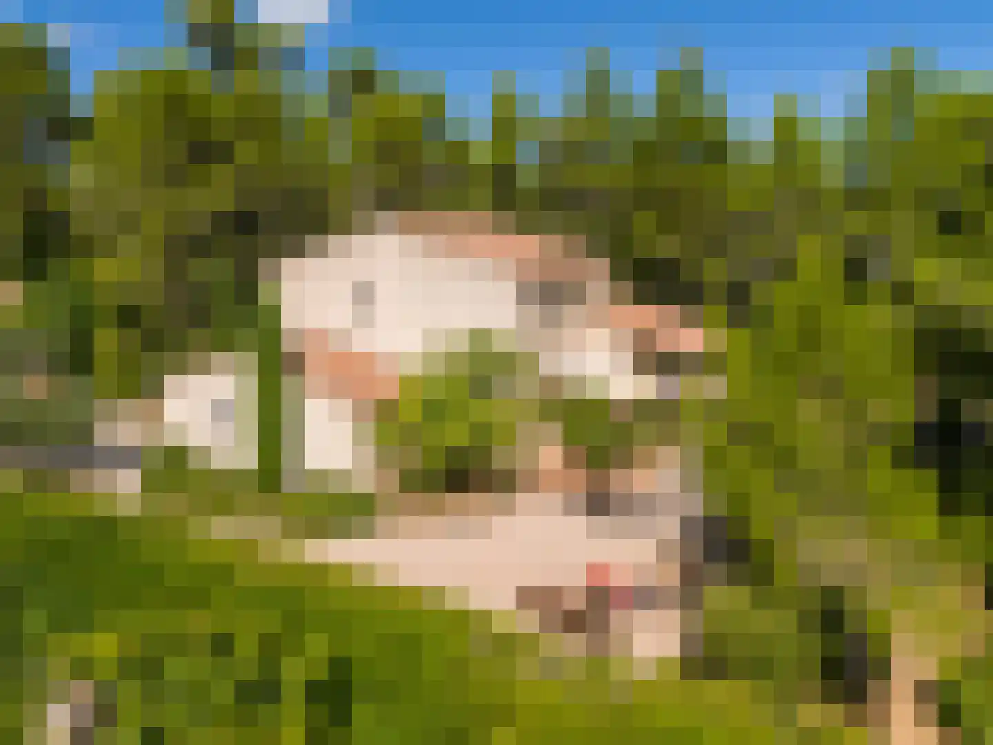 Les Dunes 6 Noordwijk thumbnail 10