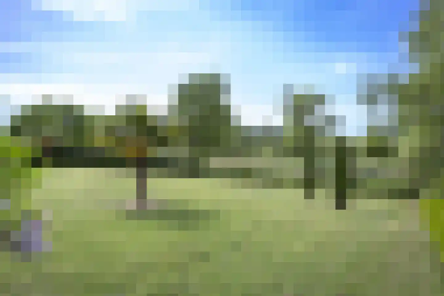 Les Dunes 6 Noordwijk thumbnail 10