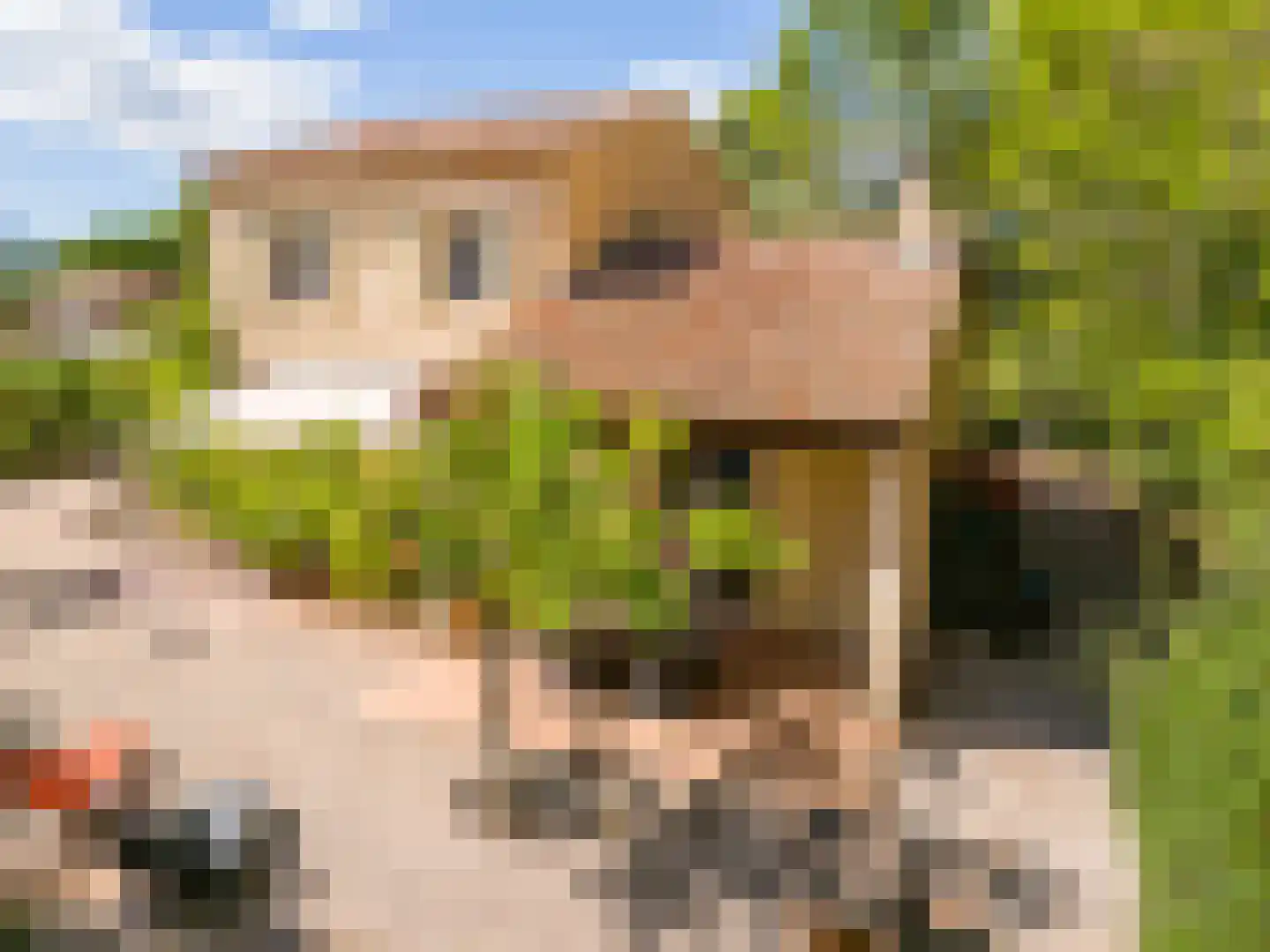 Les Dunes 6 Noordwijk thumbnail 11
