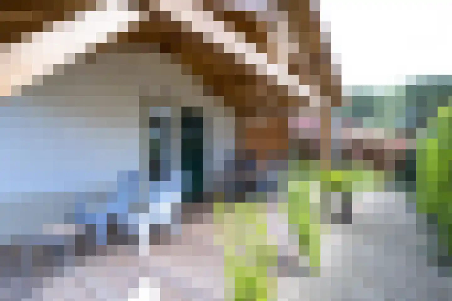 Les Dunes 6 Noordwijk thumbnail 15