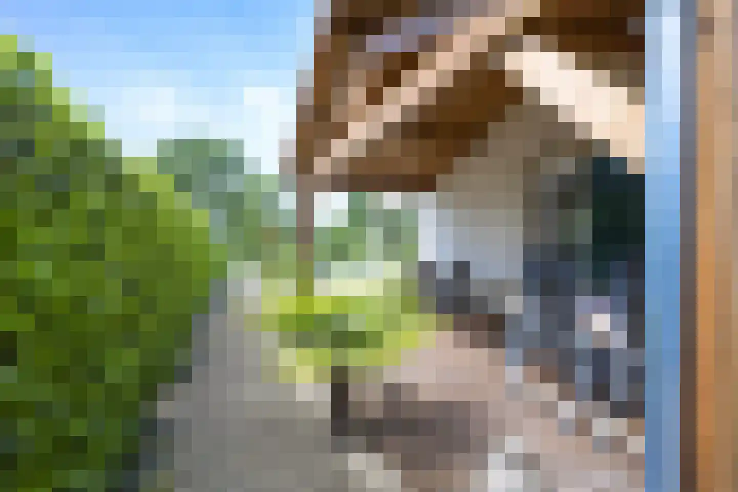Les Dunes 6 Noordwijk thumbnail 16