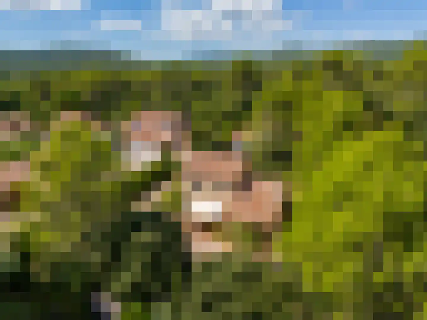 Les Dunes 6 Noordwijk thumbnail 4