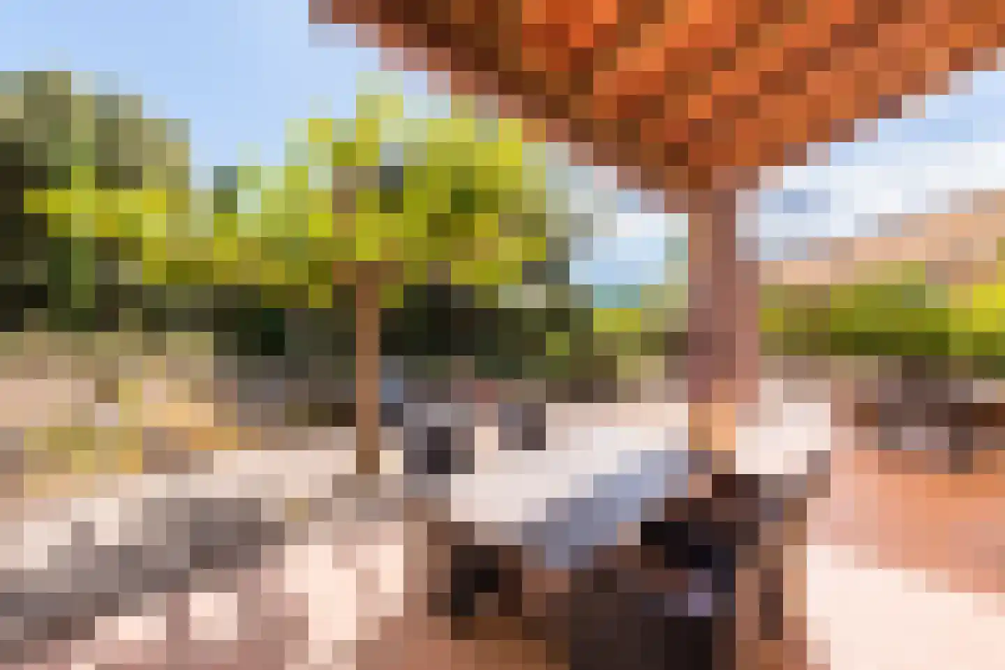 Les Dunes 6 Noordwijk thumbnail 43