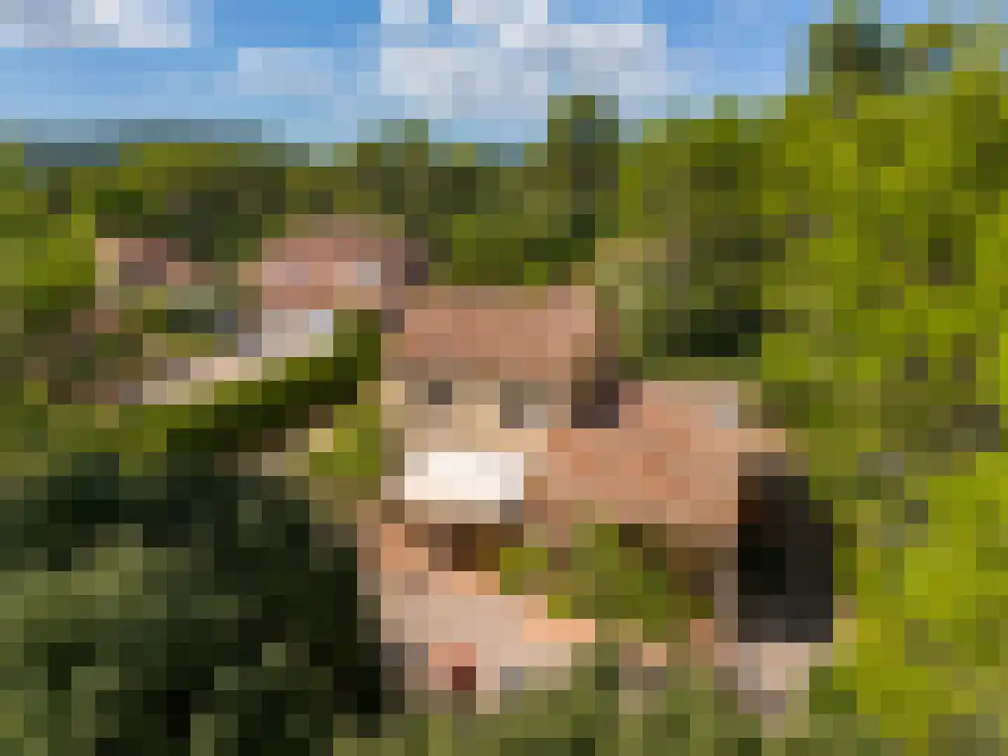 Les Dunes 6 Noordwijk thumbnail 5