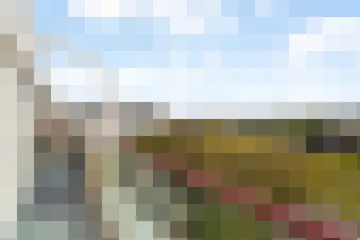 Les Dunes 9 Noordwijk thumbnail 32