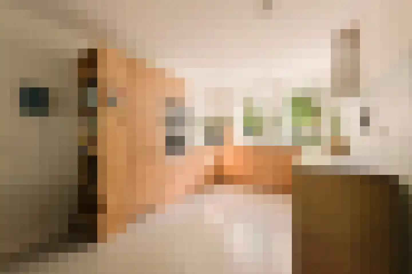 Lesbosstraat 36 Amsterdam thumbnail 15