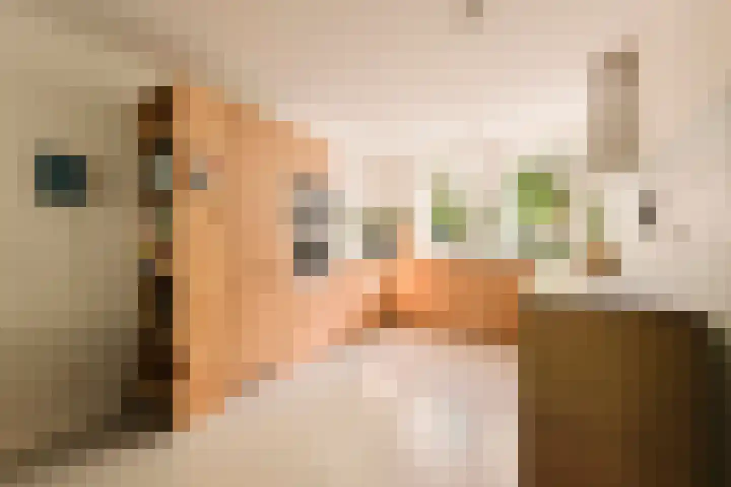 Lesbosstraat 36 Amsterdam thumbnail 16
