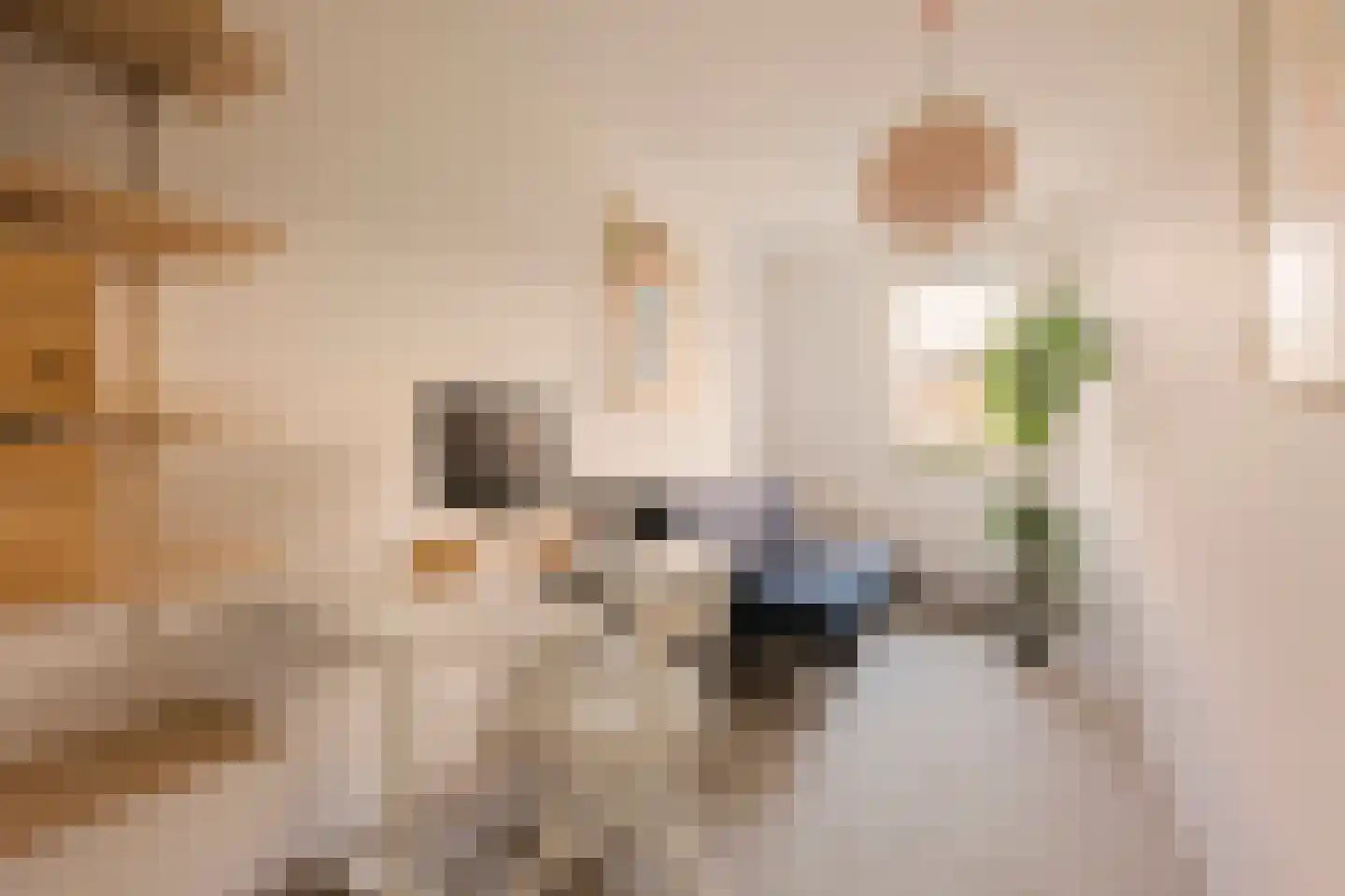 Lesbosstraat 36 Amsterdam thumbnail 24