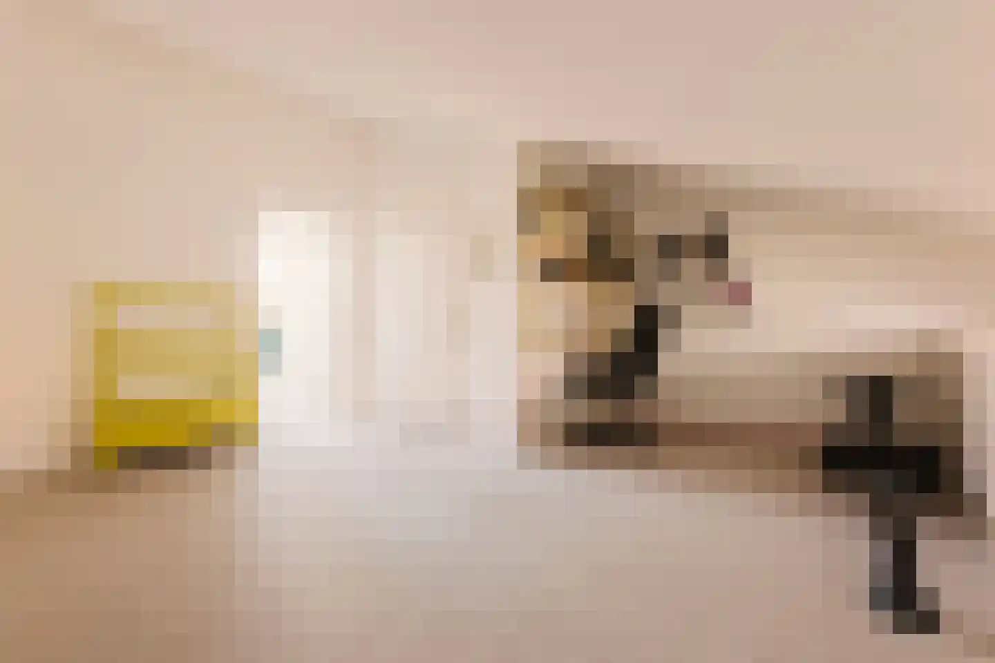 Lesbosstraat 36 Amsterdam thumbnail 29