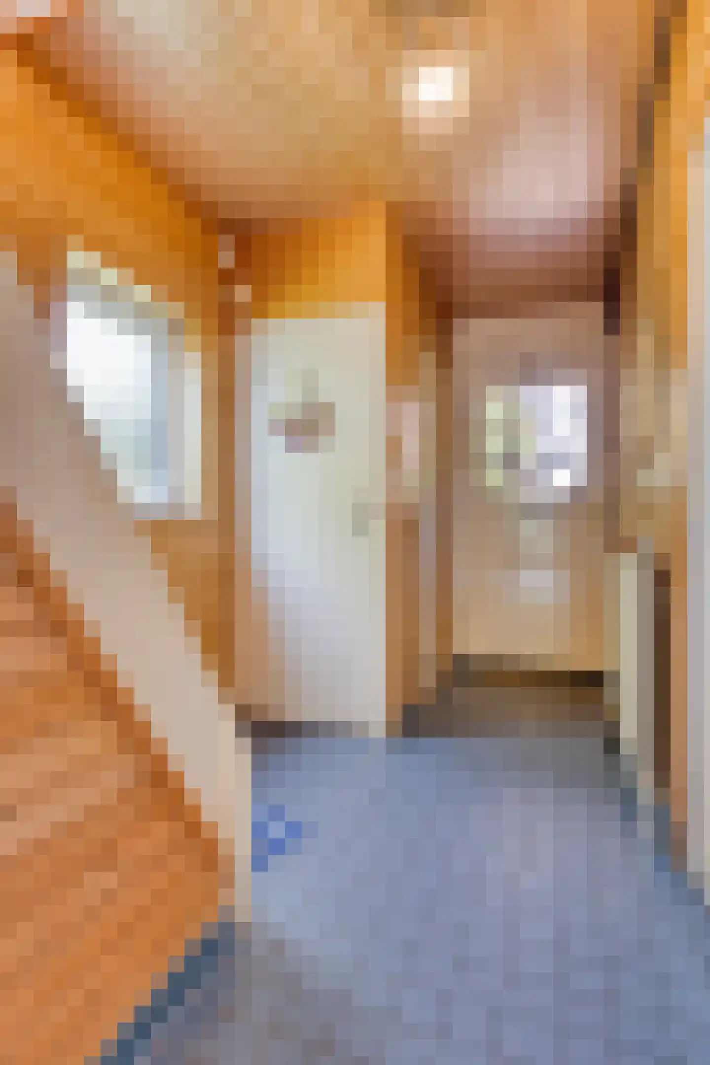Lessestraat 1 Heemskerk thumbnail 14