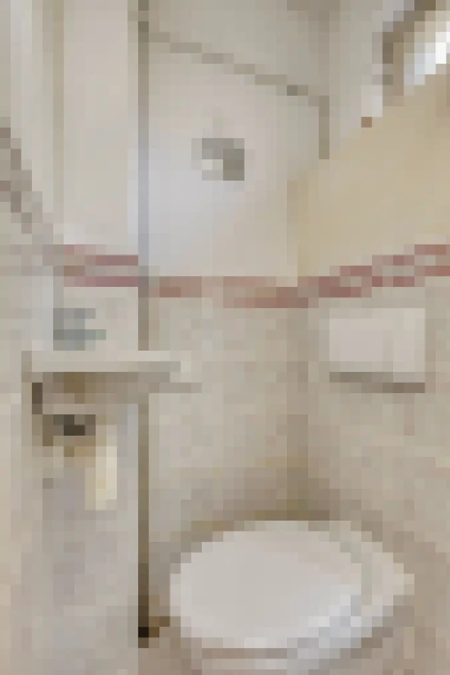Lessestraat 1 Heemskerk thumbnail 15