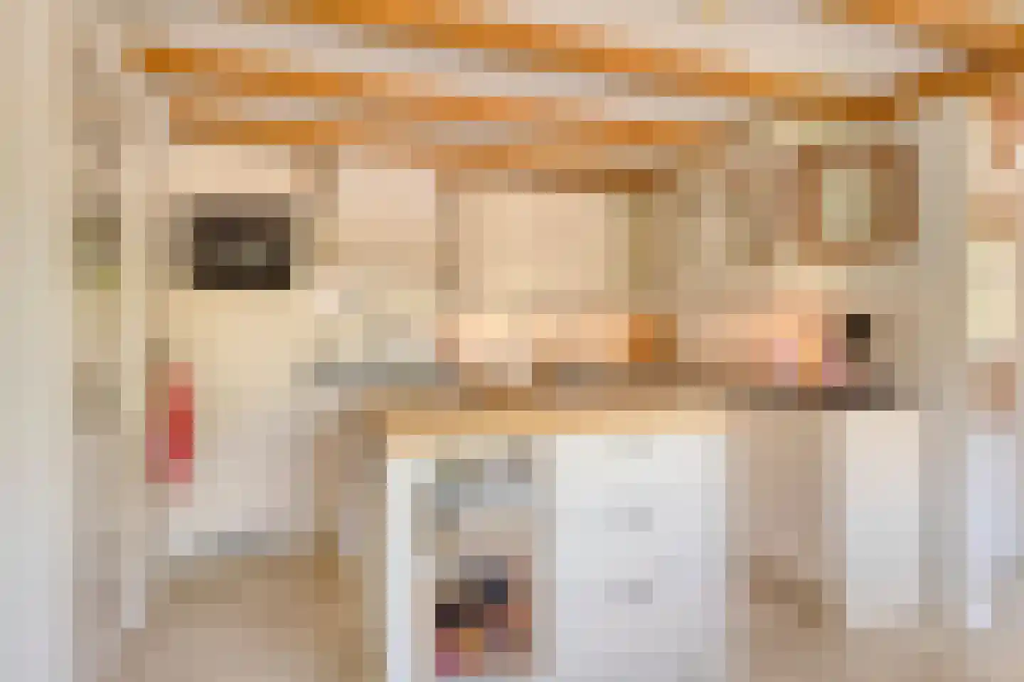 Lessestraat 1 Heemskerk thumbnail 18