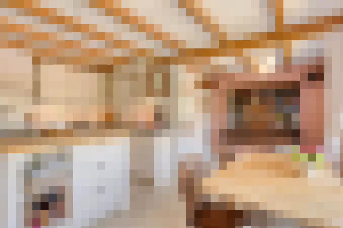 Lessestraat 1 Heemskerk thumbnail 21