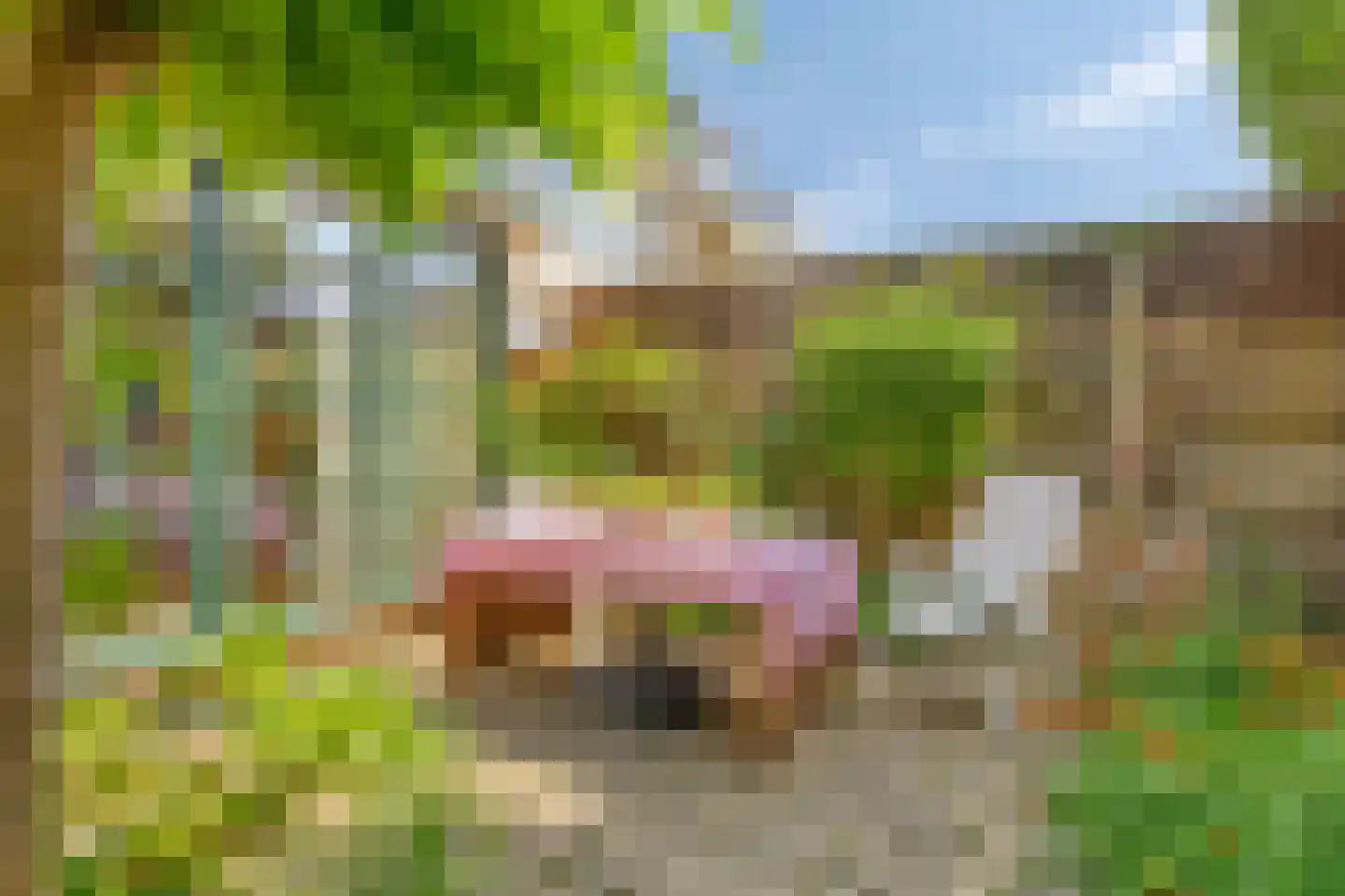 Lessestraat 1 Heemskerk thumbnail 39