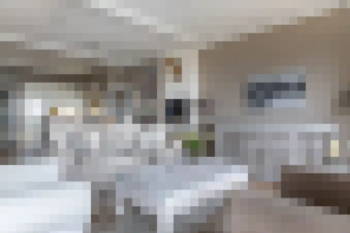 Lessestraat 316 Heemskerk thumbnail 5