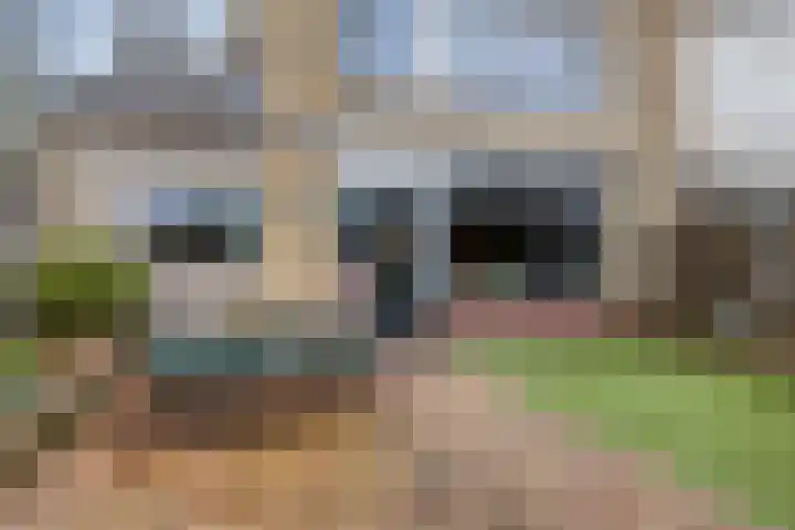 Lessestraat 49 Heemskerk thumbnail 32