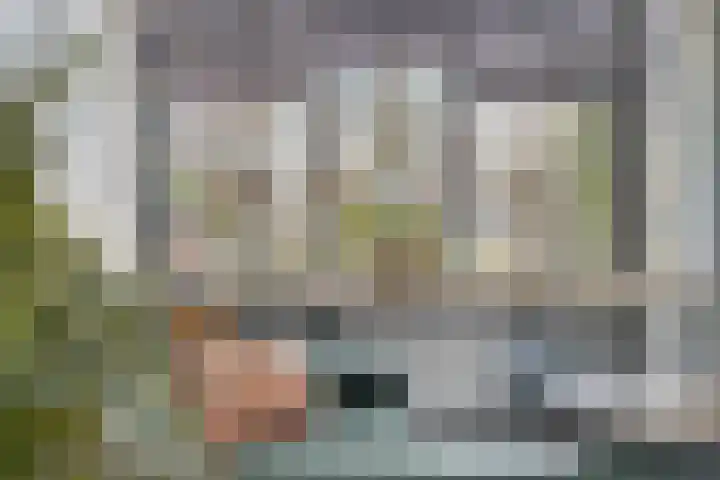 Lessestraat 49 Heemskerk thumbnail 4
