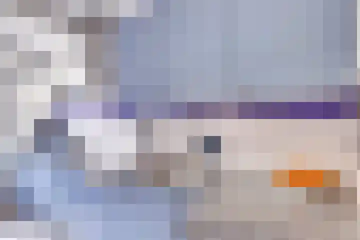 Lessinglaan 108 Utrecht thumbnail 15
