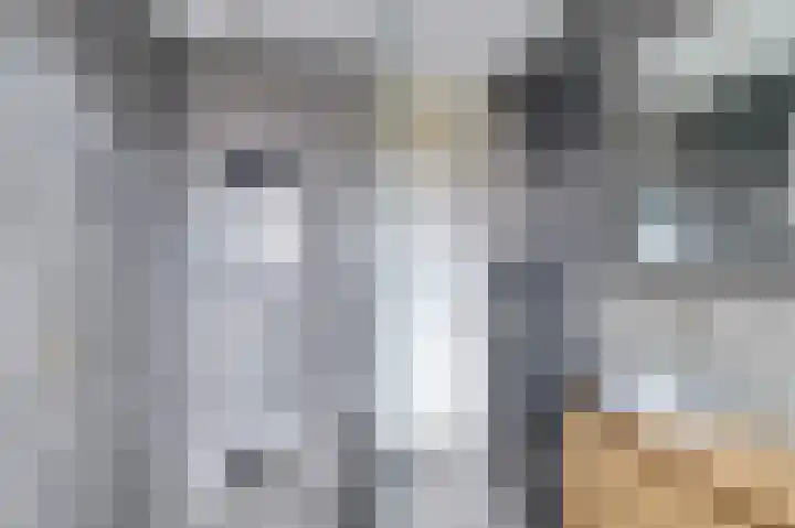 Lessinglaan 108 Utrecht thumbnail 26