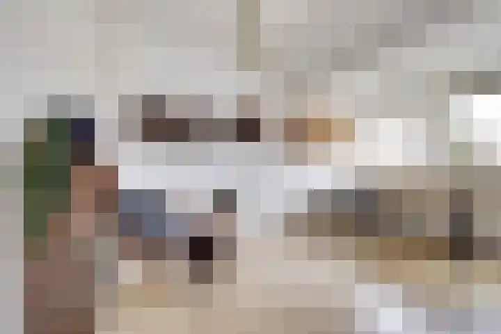 Lessinglaan 108 Utrecht thumbnail 40