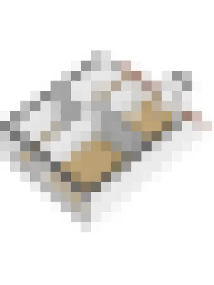 Lessinglaan 108 Utrecht thumbnail 59