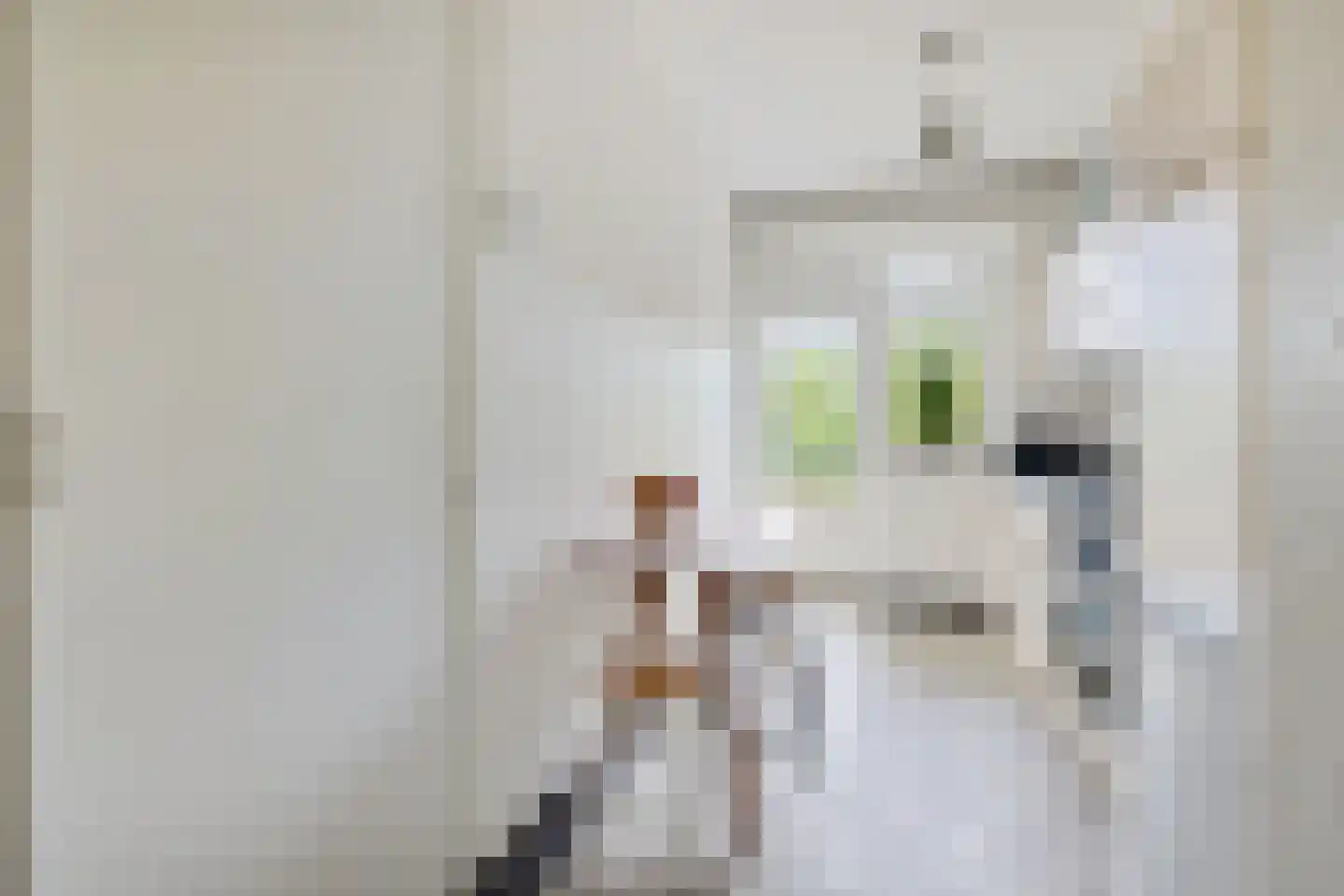 Lessinglaan 11 1 Utrecht thumbnail 14