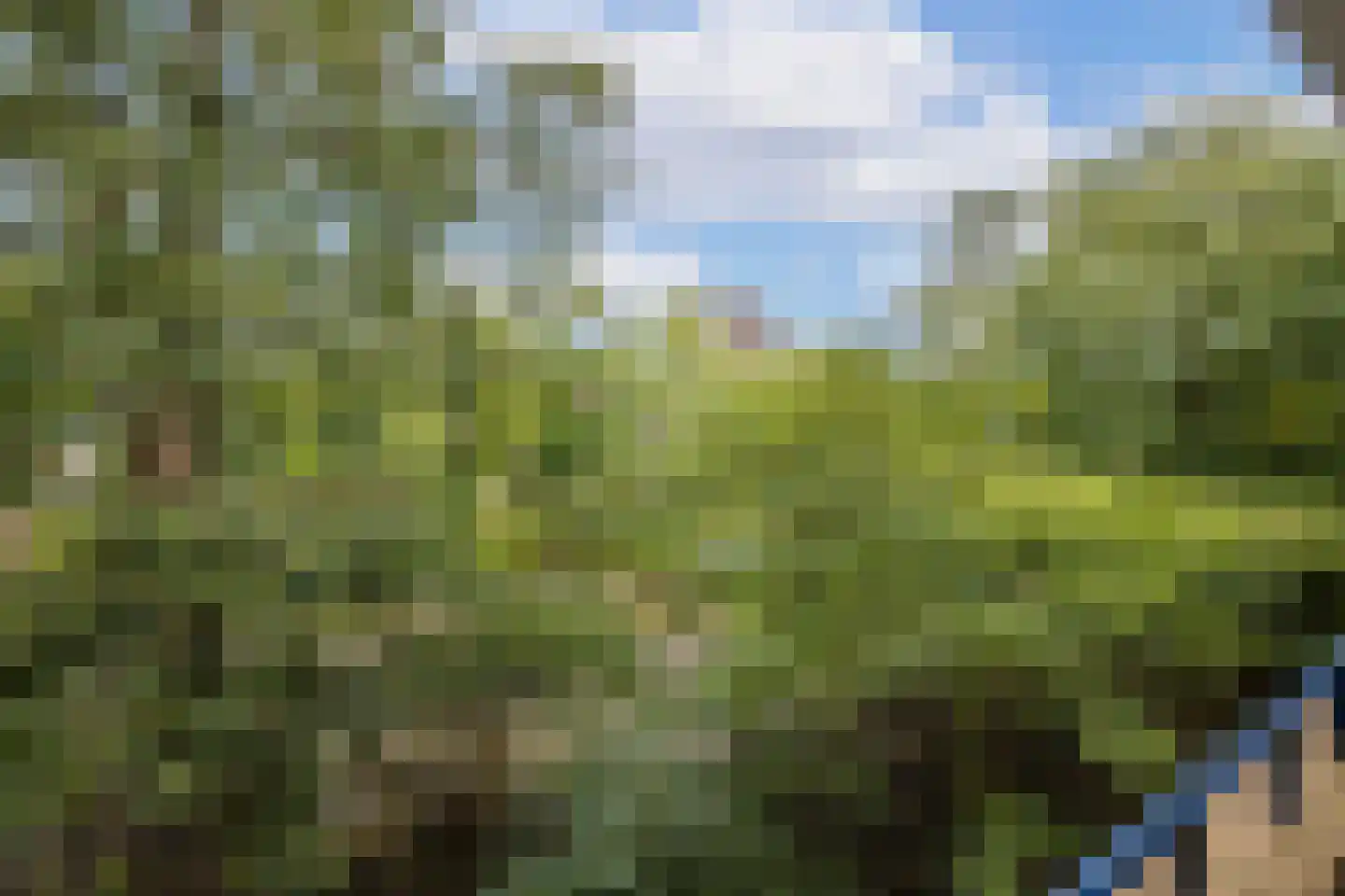 Lessinglaan 11 1 Utrecht thumbnail 17