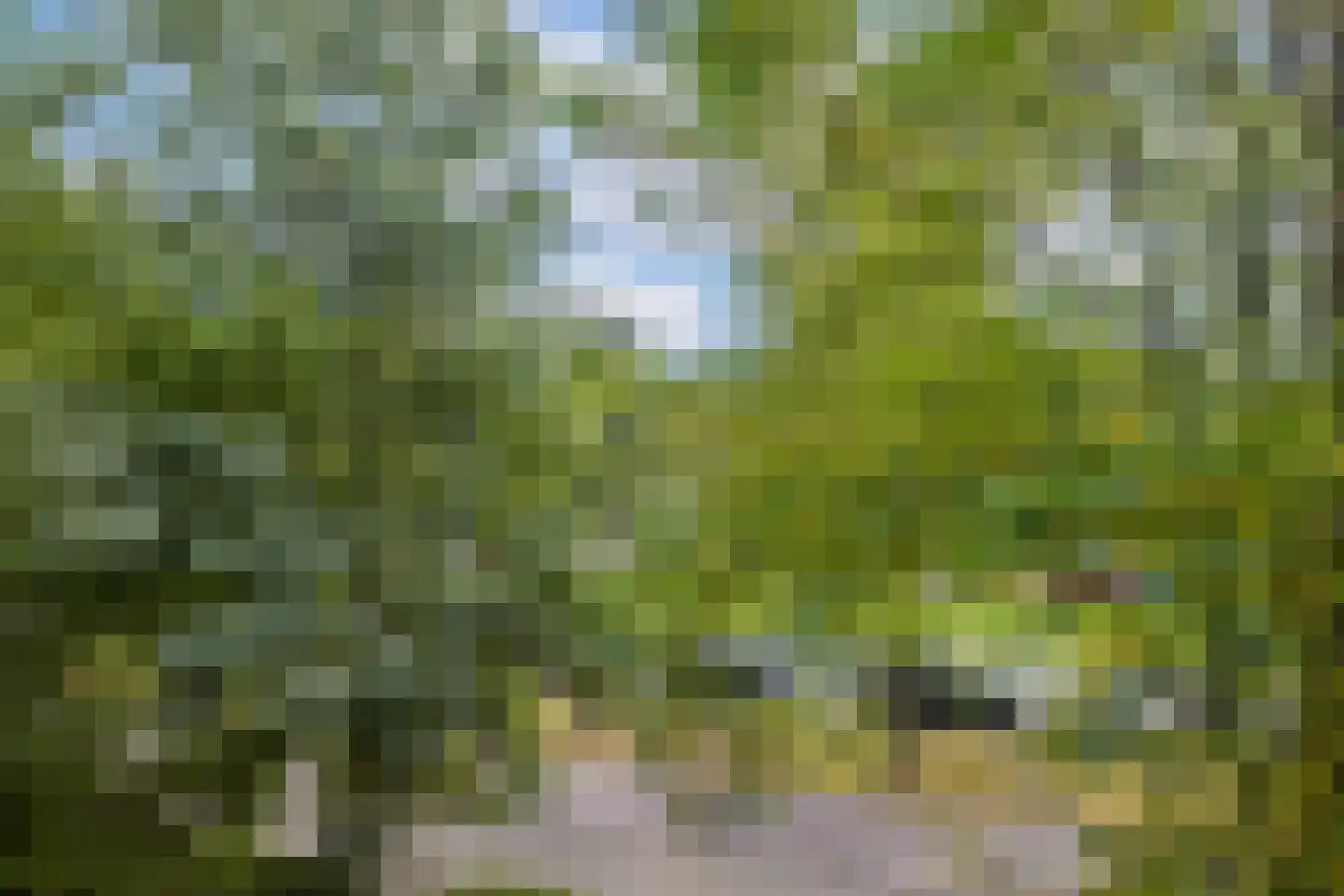 Lessinglaan 11 1 Utrecht thumbnail 24