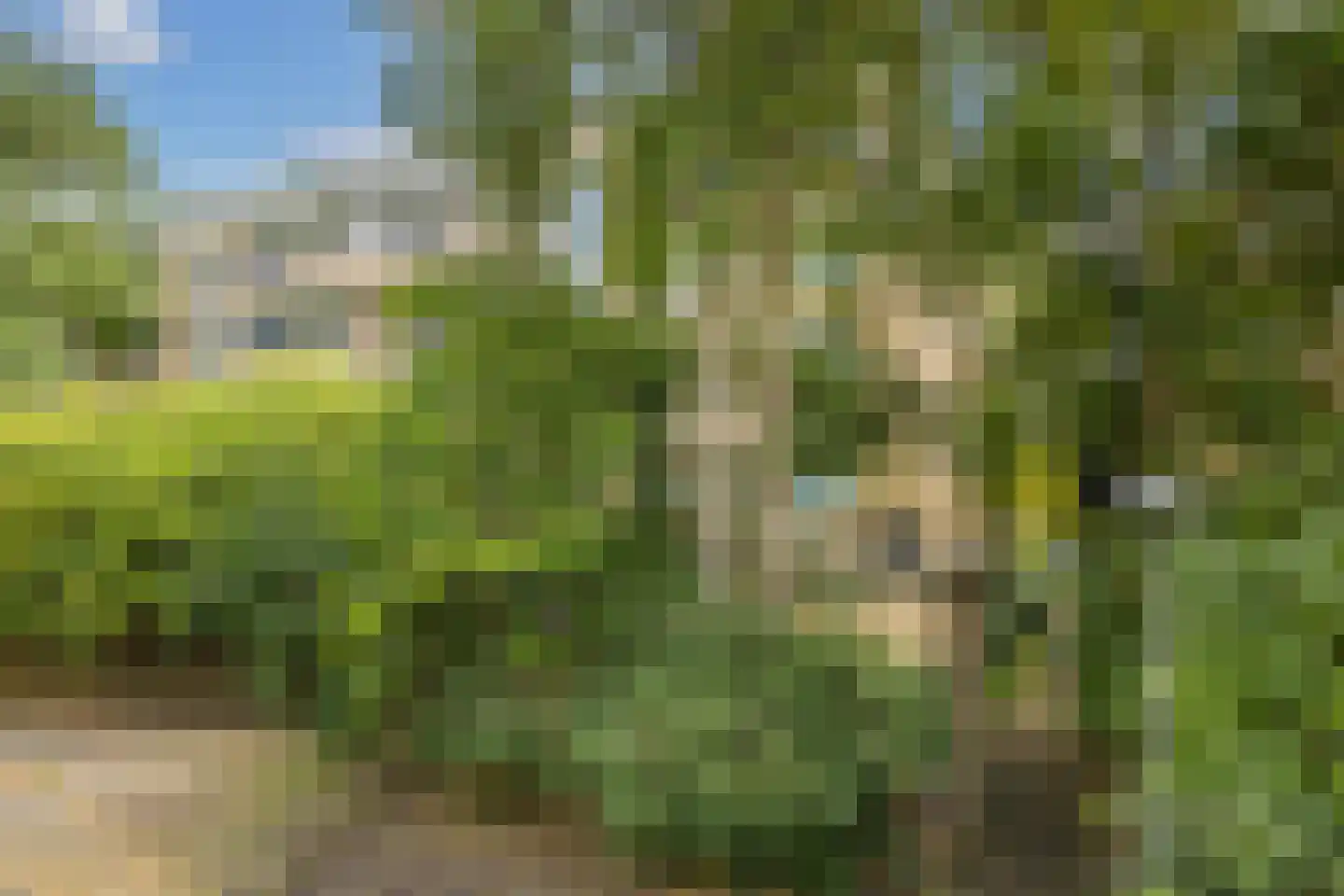 Lessinglaan 11 1 Utrecht thumbnail 35
