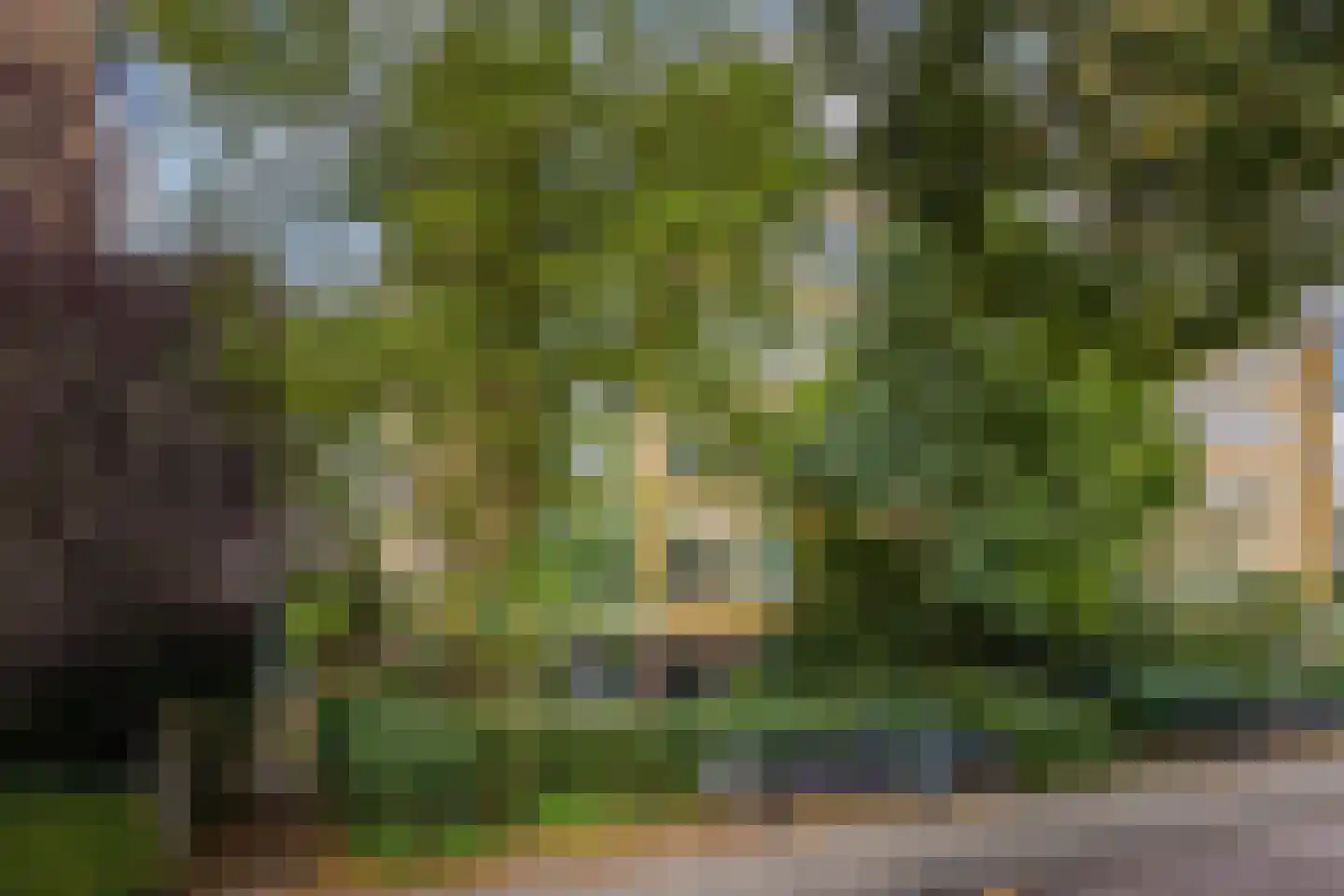 Lessinglaan 11 1 Utrecht thumbnail 5