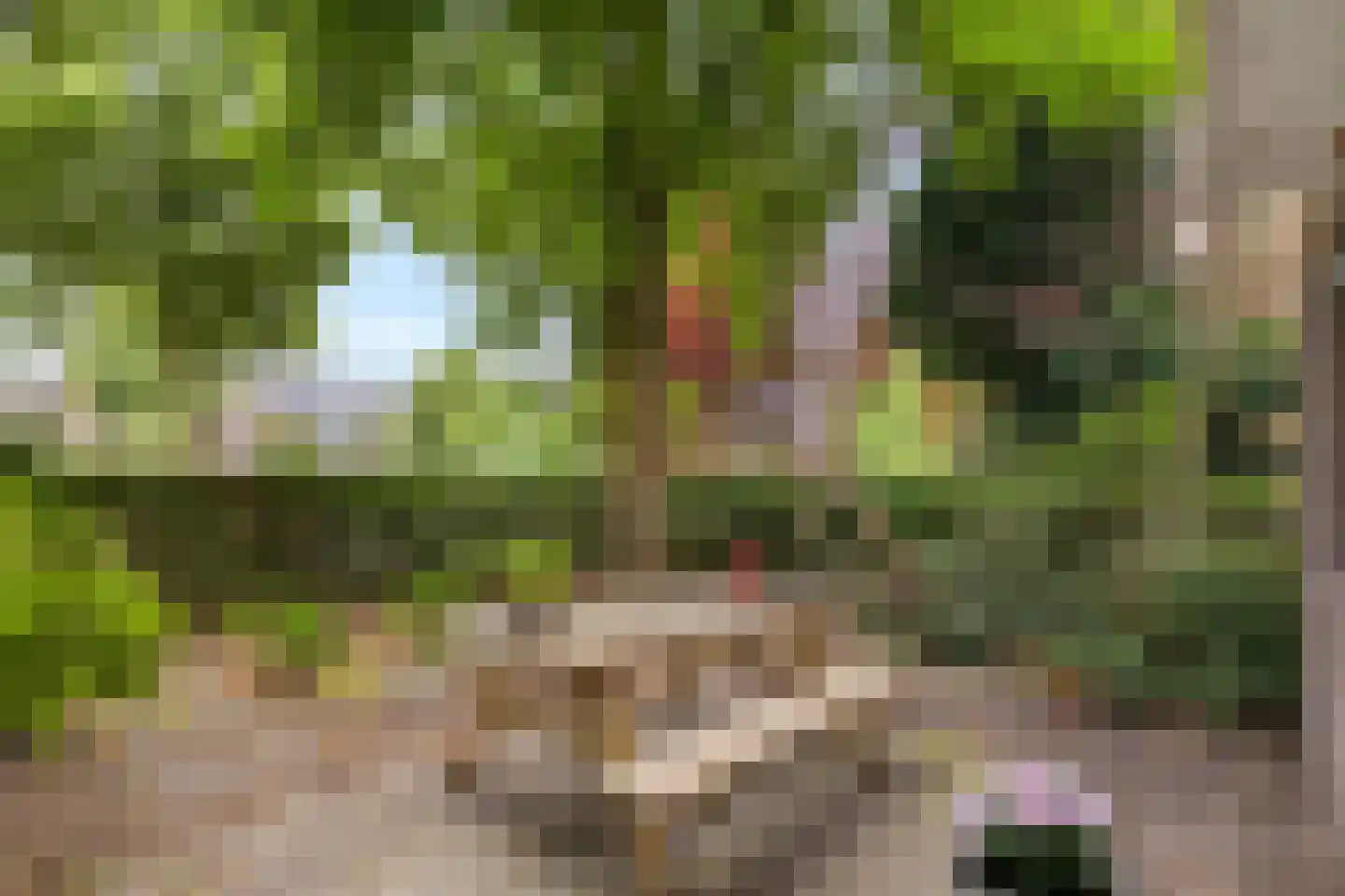 Lessinglaan 11 A Utrecht thumbnail 22