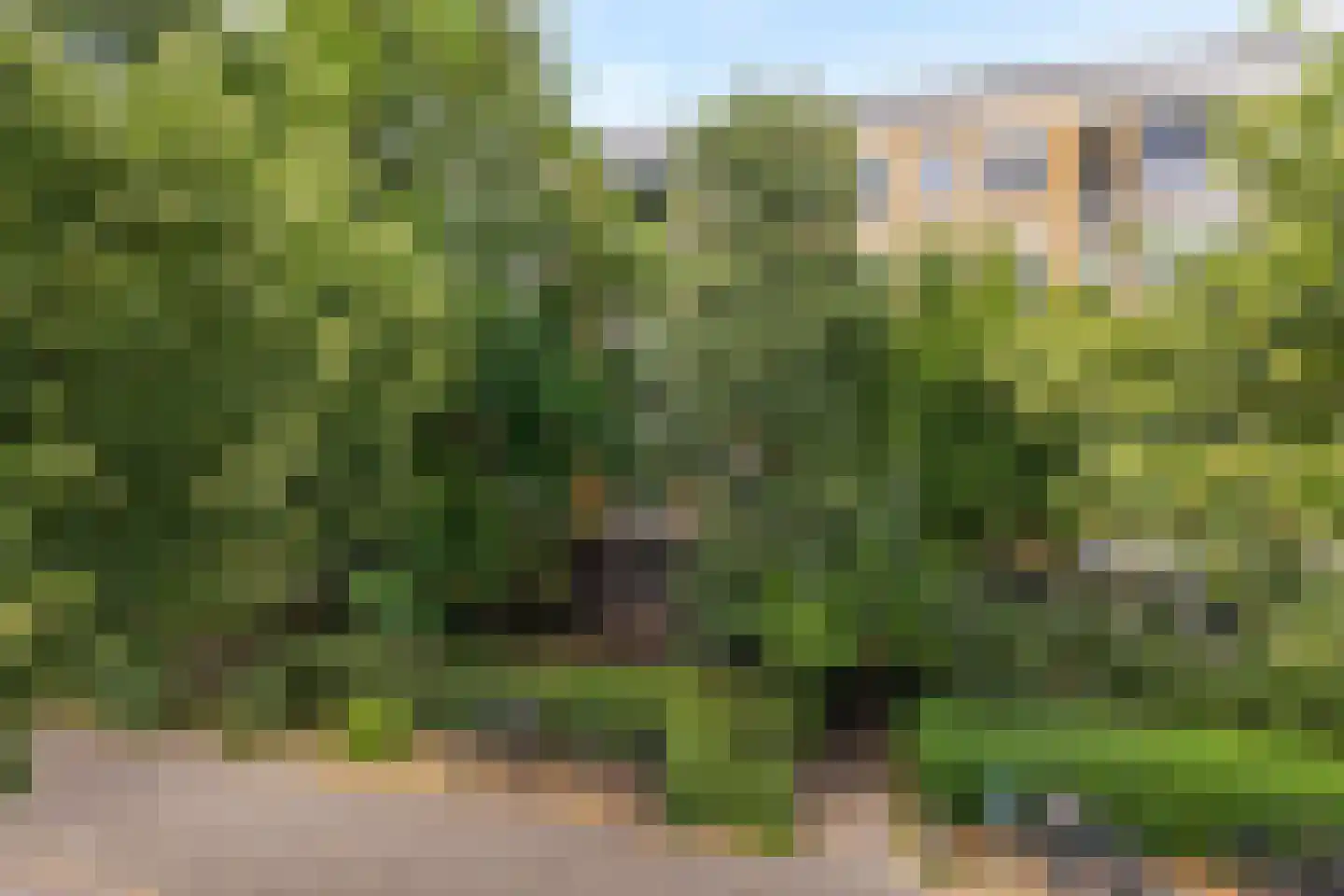 Lessinglaan 11 A Utrecht thumbnail 25