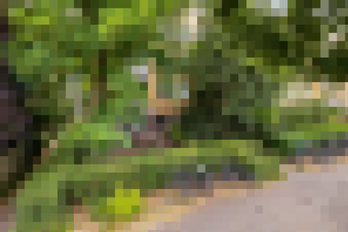 Lessinglaan 11 A Utrecht thumbnail 26