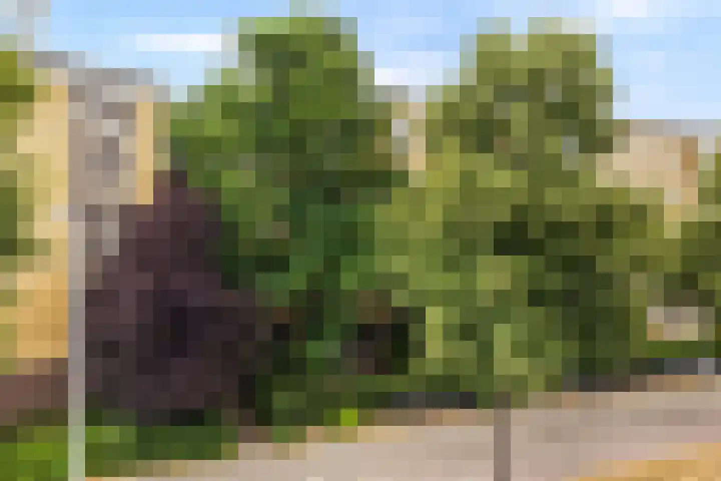 Lessinglaan 11 A Utrecht thumbnail 29