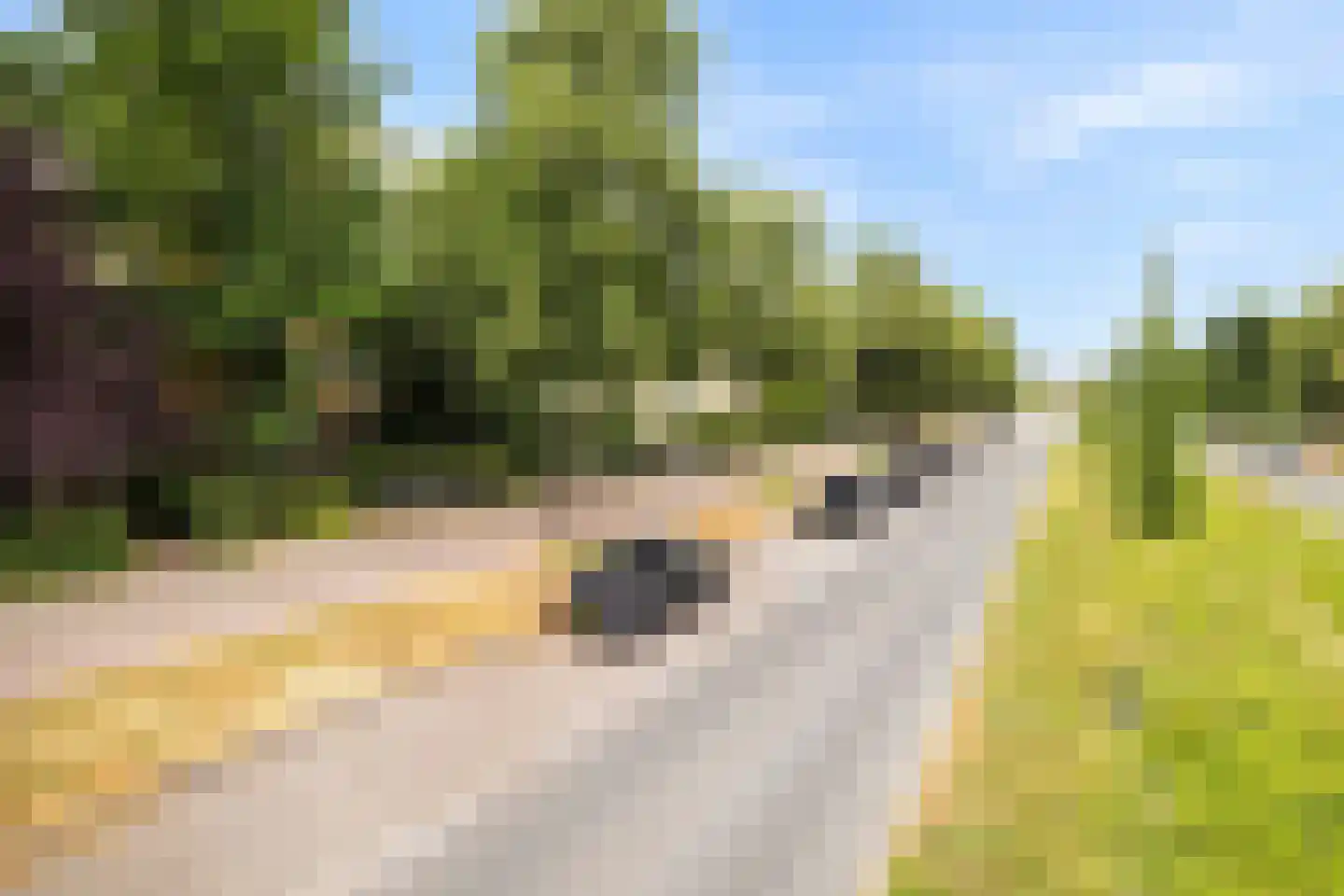 Lessinglaan 11 A Utrecht thumbnail 30