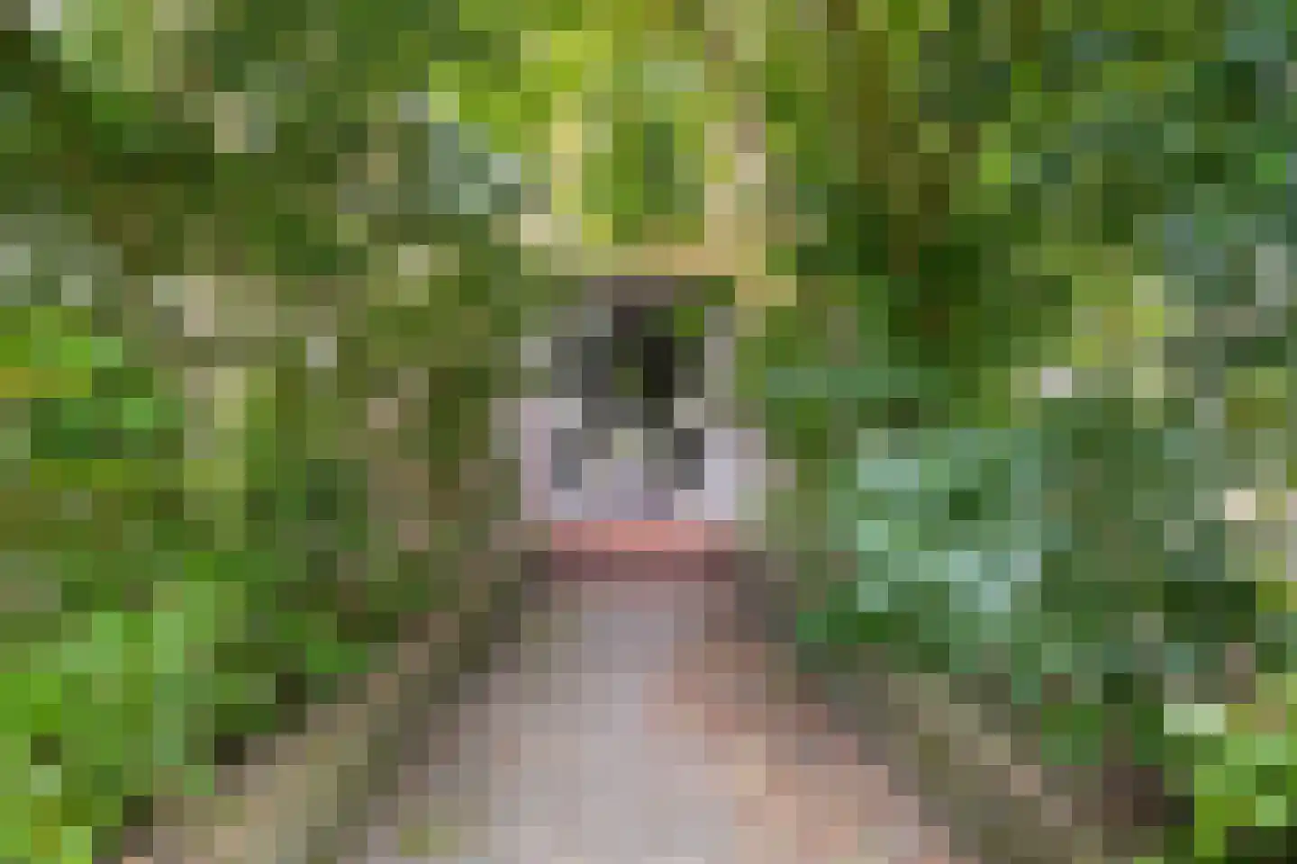 Lessinglaan 11 A Utrecht thumbnail 4