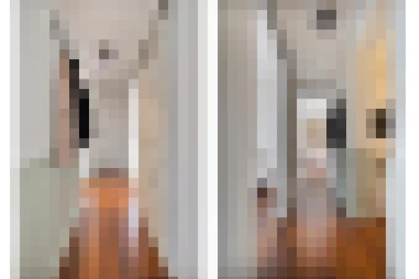 Lessinglaan 11 A Utrecht thumbnail 6